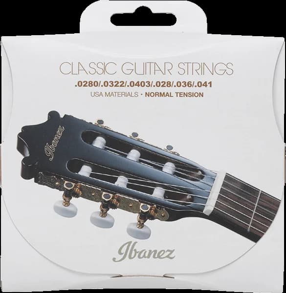 Ibanez Classical Guitar thumbnail 4
