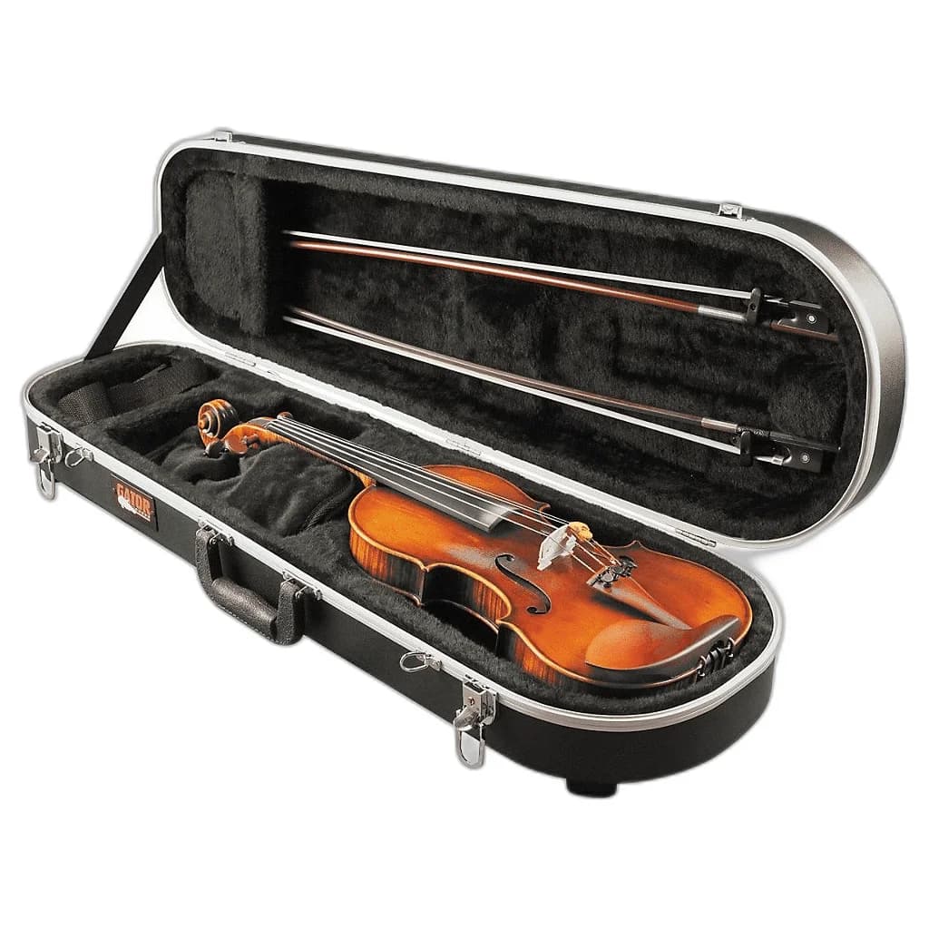 Student Violin Outfit 4/4 thumbnail 2