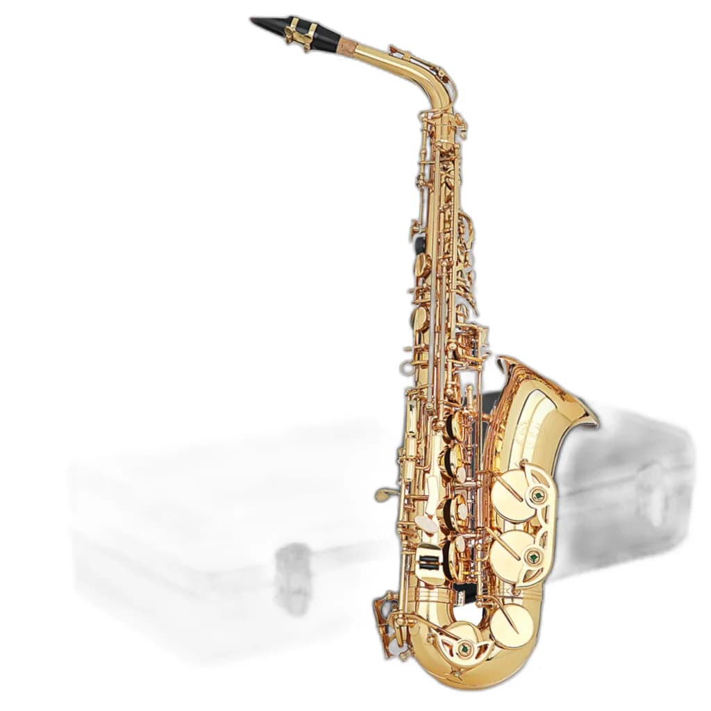 Wind Instrument Accessories Kit thumbnail 2