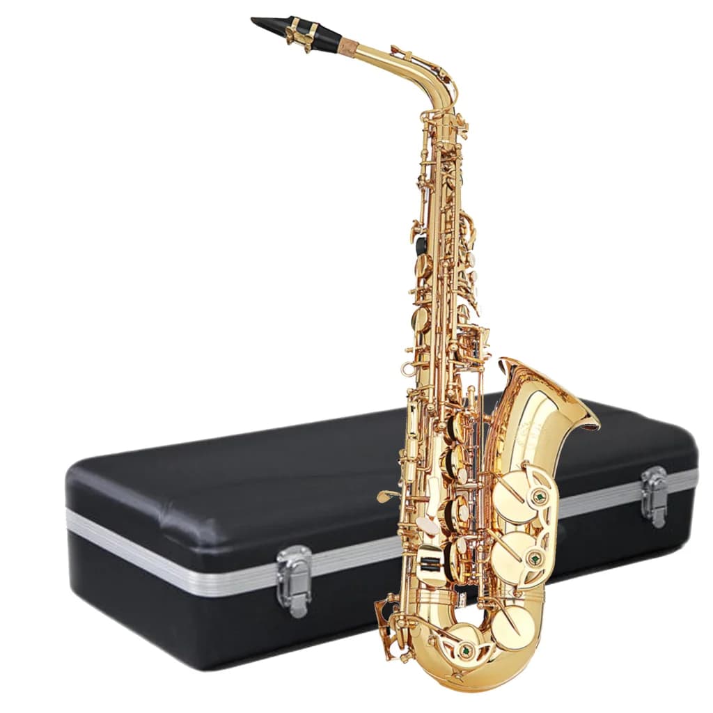 Wind Instrument Accessories Kit