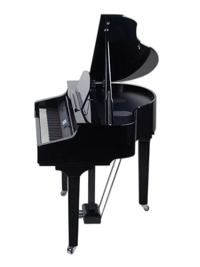 Medeli Keyboard - image 1