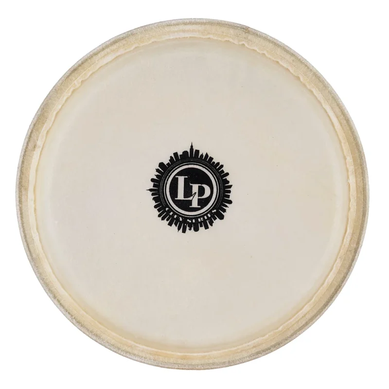 Lp 11  City Conga Head