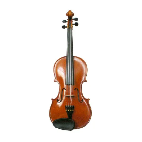 Jargar Cello Single D Medium Ii