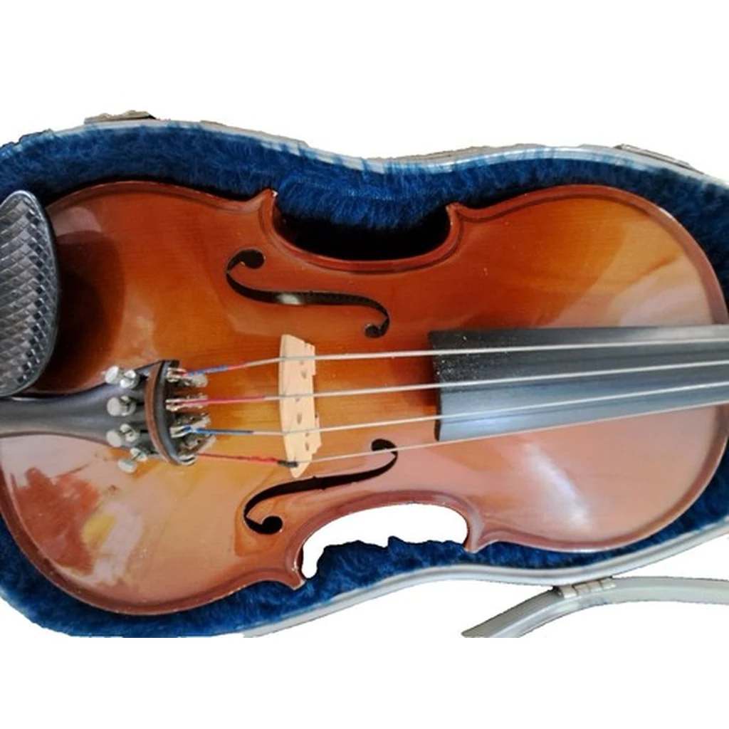 Josef Teller  Viola Bridge